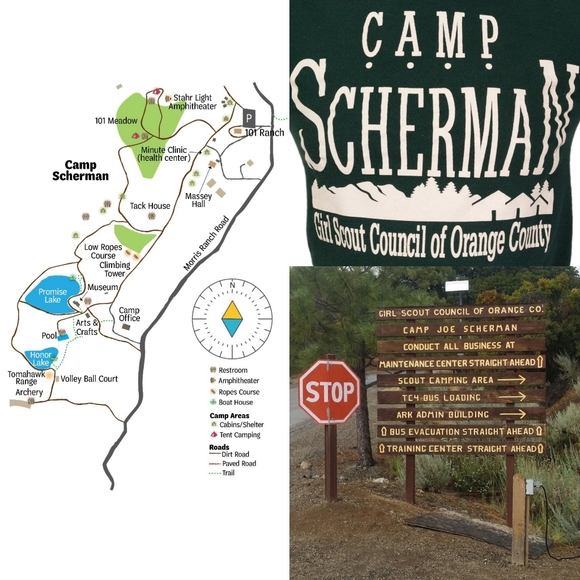 Vintage 90s Brownie Girl Scout Camp Scherman Try-Its Lim Ed Retired Patch Badge - Picture 12 of 15